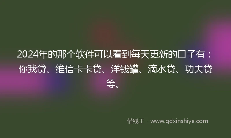2024年的那个软件可以看到每天更新的口子有：你我贷、维信卡卡贷、洋钱罐、滴水贷、功夫贷等。