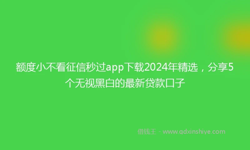 额度小不看征信秒过app下载2024年精选，分享5个无视黑白的最新贷款口子