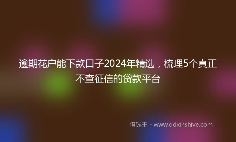 逾期花户能下款口子2024年精选，梳理5个真正不查征信的贷款平台