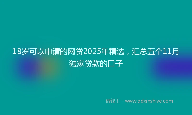 18岁可以申请的网贷2025年精选，汇总五个11月独家贷款的口子