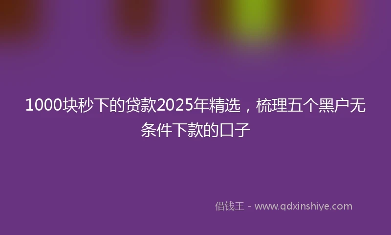 1000块秒下的贷款2025年精选，梳理五个黑户无条件下款的口子