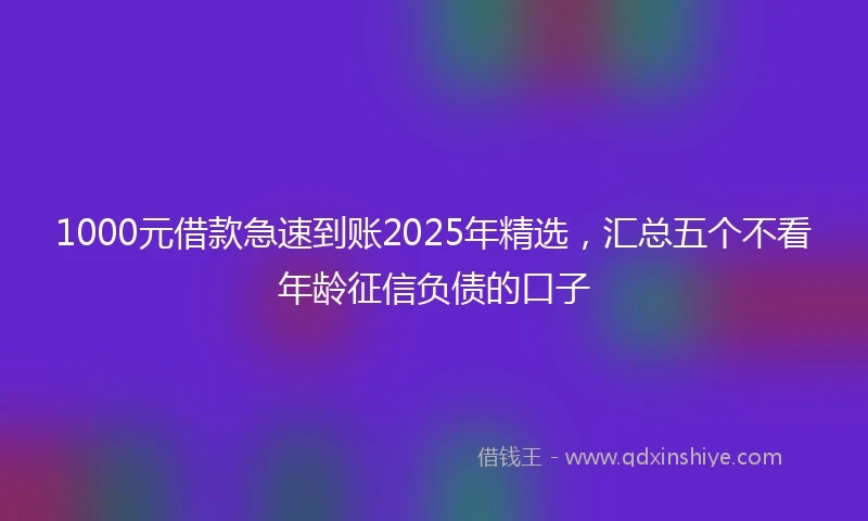 1000元借款急速到账2025年精选，汇总五个不看年龄征信负债的口子