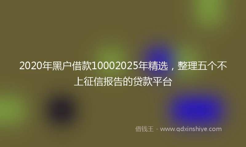 2020年黑户借款10002025年精选，整理五个不上征信报告的贷款平台