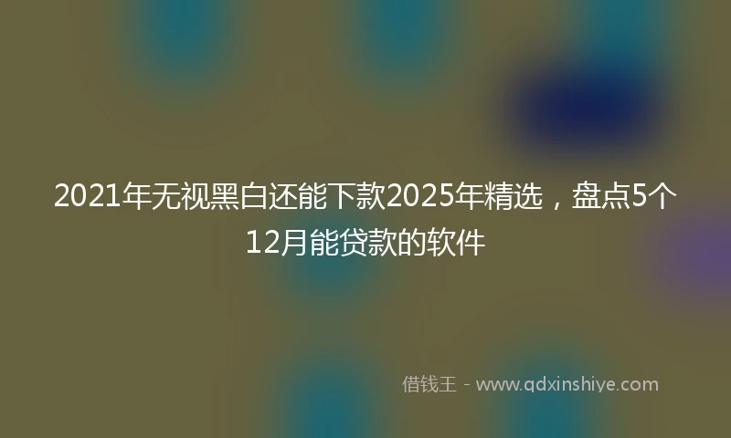 2021年无视黑白还能下款2025年精选，盘点5个12月能贷款的软件