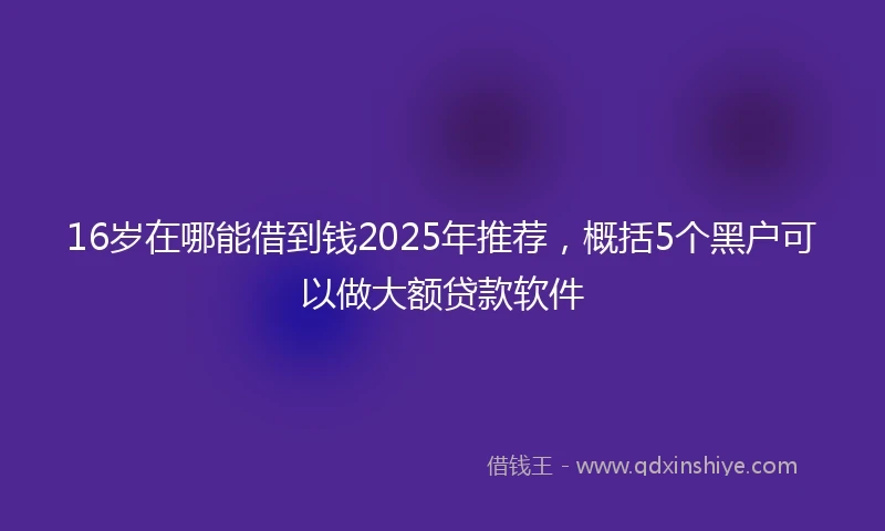 16岁在哪能借到钱2025年推荐，概括5个黑户可以做大额贷款软件