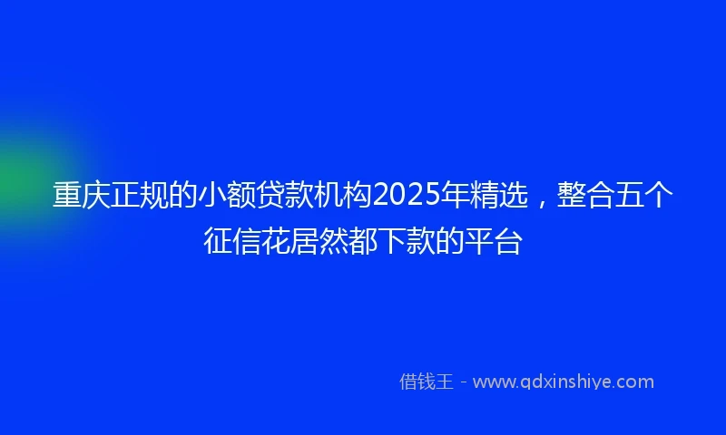 重庆正规的小额贷款机构2025年精选，整合五个征信花居然都下款的平台