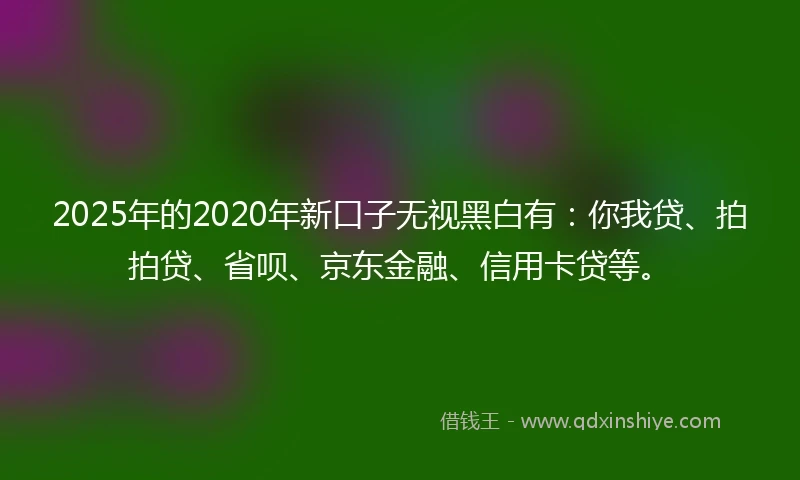 2025年的2020年新口子无视黑白有：你我贷、拍拍贷、省呗、京东金融、信用卡贷等。