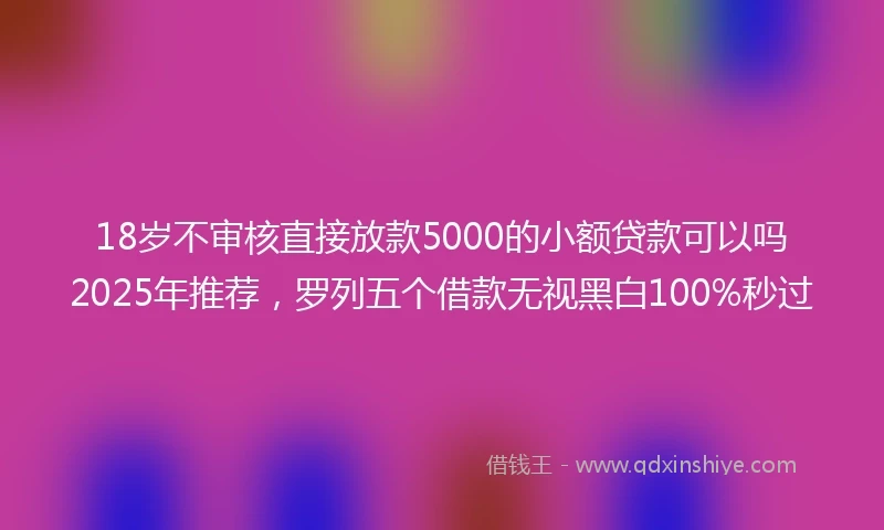 18岁不审核直接放款5000的小额贷款可以吗2025年推荐，罗列五个借款无视黑白100%秒过
