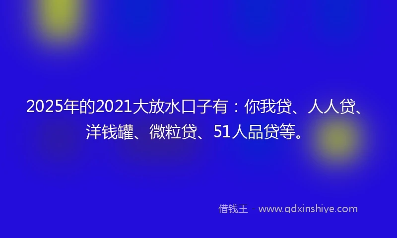 2025年的2021大放水口子有：你我贷、人人贷、洋钱罐、微粒贷、51人品贷等。