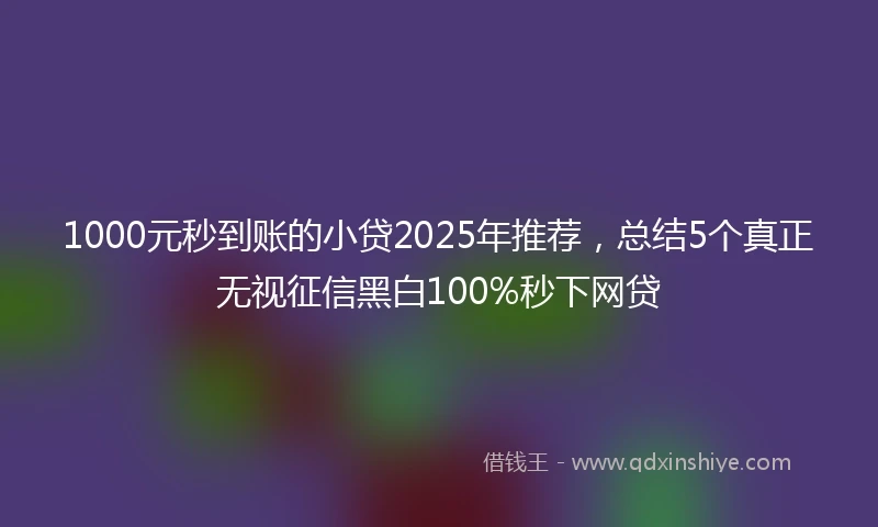1000元秒到账的小贷2025年推荐，总结5个真正无视征信黑白100%秒下网贷