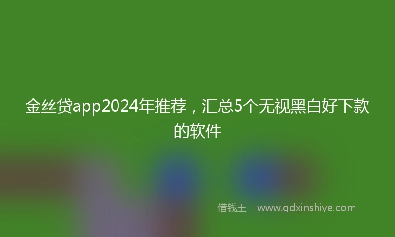 金丝贷app2024年推荐，汇总5个无视黑白好下款的软件