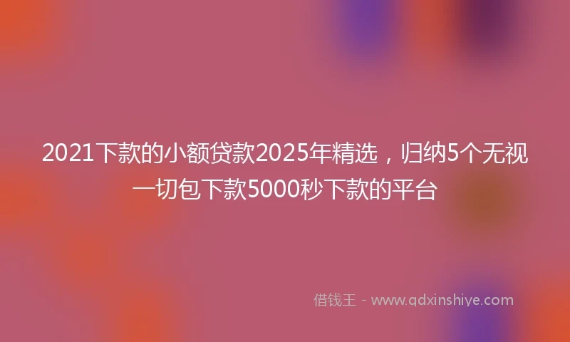 2021下款的小额贷款2025年精选，归纳5个无视一切包下款5000秒下款的平台