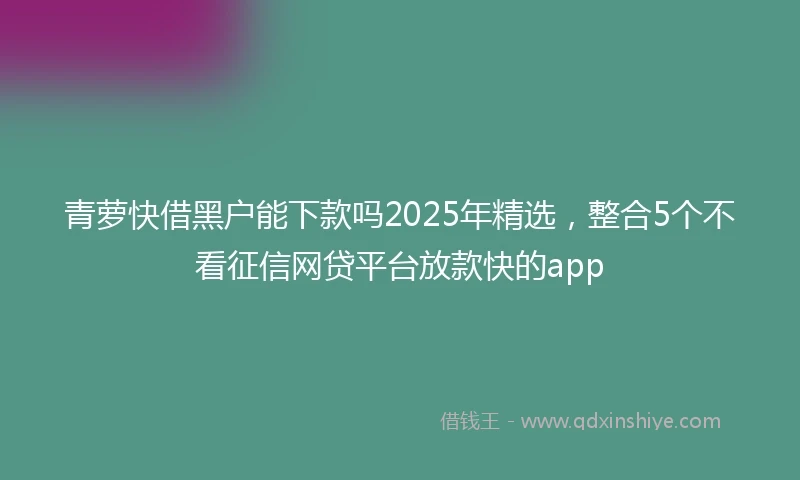 青萝快借黑户能下款吗2025年精选，整合5个不看征信网贷平台放款快的app