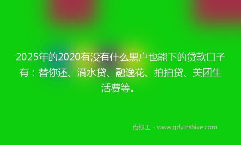 2025年的2020有没有什么黑户也能下的贷款口子有：替你还、滴水贷、融逸花、拍拍贷、美团生活费等。