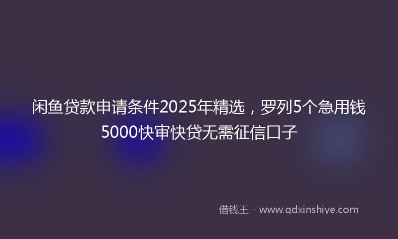 闲鱼贷款申请条件2025年精选，罗列5个急用钱5000快审快贷无需征信口子