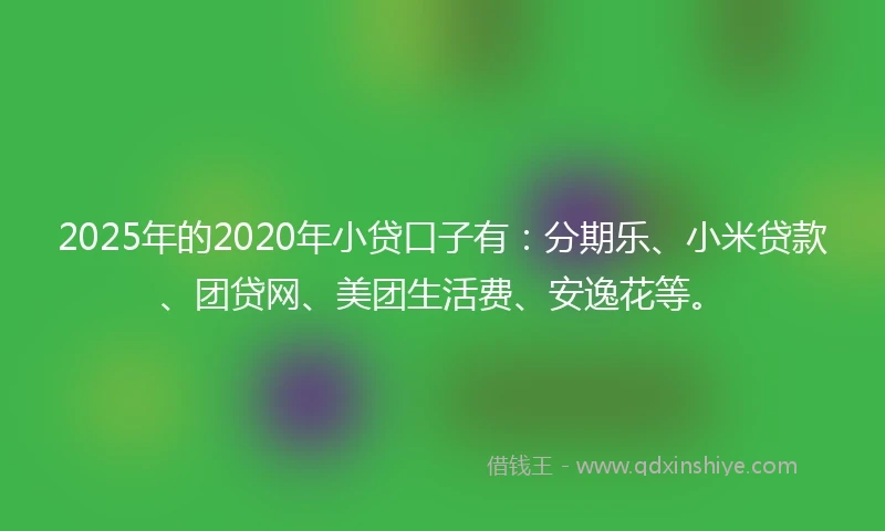 2025年的2020年小贷口子有：分期乐、小米贷款、团贷网、美团生活费、安逸花等。