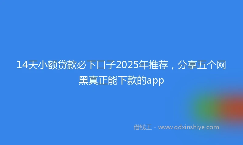 14天小额贷款必下口子2025年推荐，分享五个网黑真正能下款的app