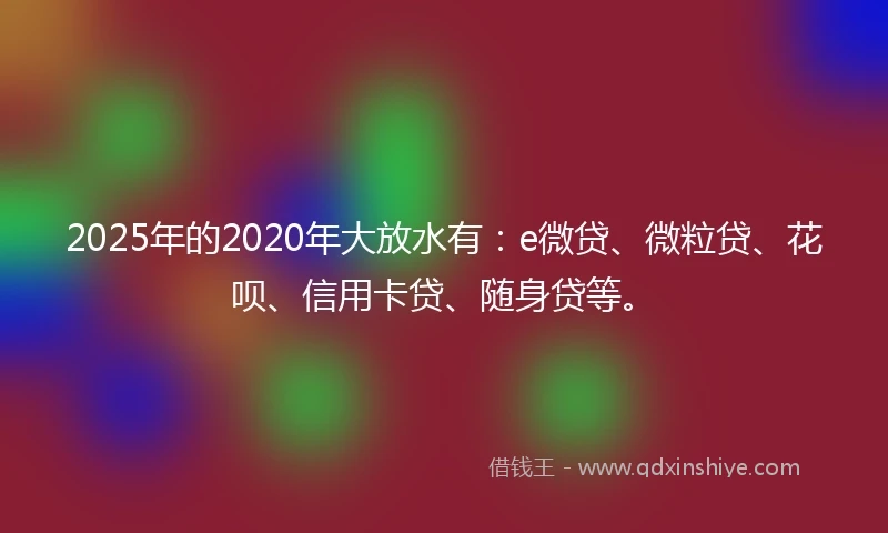 2025年的2020年大放水有：e微贷、微粒贷、花呗、信用卡贷、随身贷等。