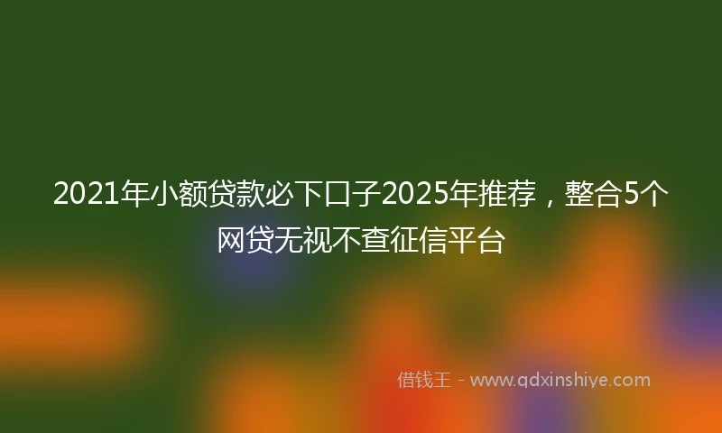 2021年小额贷款必下口子2025年推荐，整合5个网贷无视不查征信平台