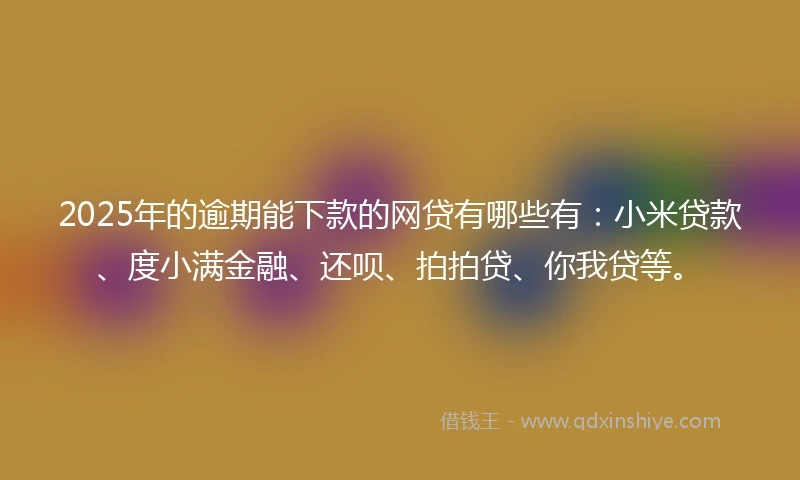 2025年的逾期能下款的网贷有哪些有：小米贷款、度小满金融、还呗、拍拍贷、你我贷等。