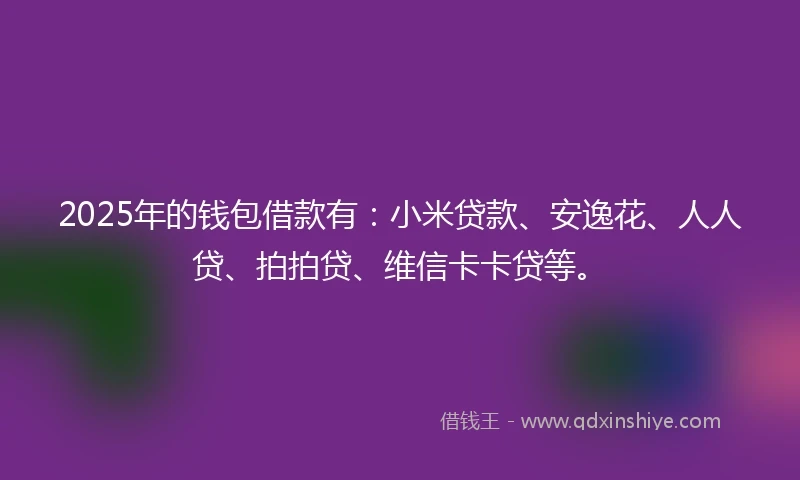 2025年的钱包借款有：小米贷款、安逸花、人人贷、拍拍贷、维信卡卡贷等。