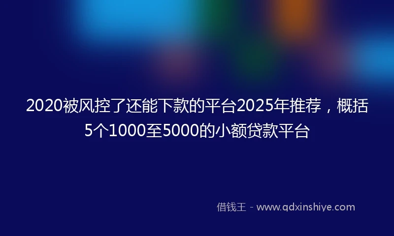 2020被风控了还能下款的平台2025年推荐，概括5个1000至5000的小额贷款平台
