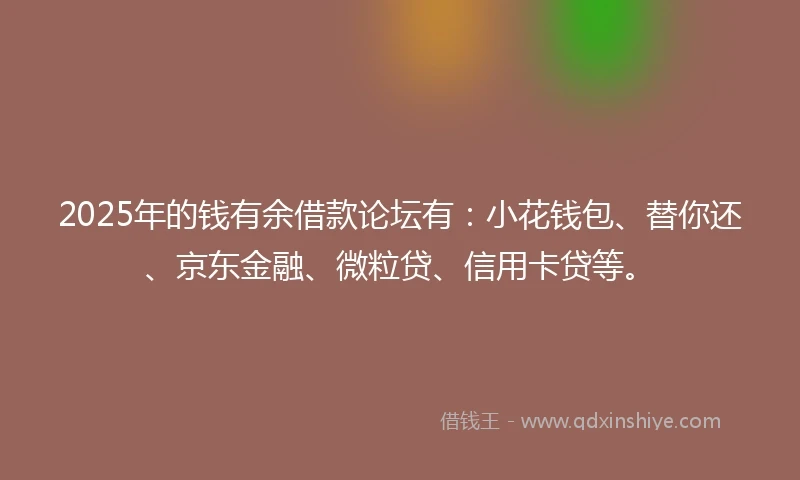 2025年的钱有余借款论坛有：小花钱包、替你还、京东金融、微粒贷、信用卡贷等。