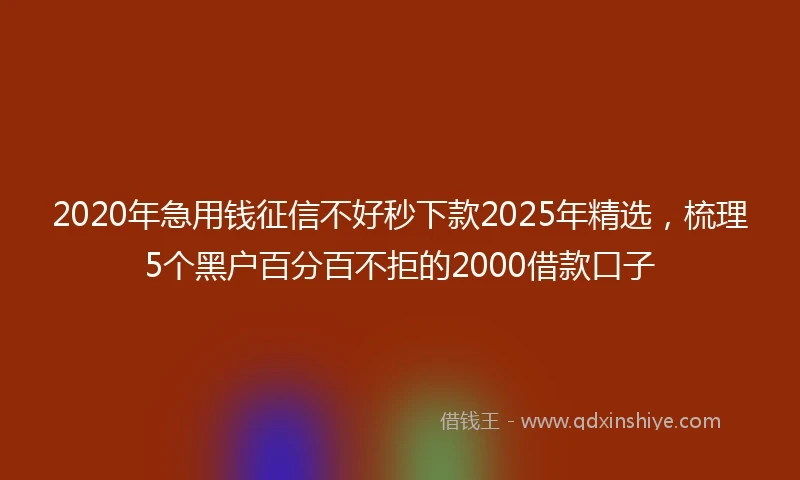 2020年急用钱征信不好秒下款2025年精选，梳理5个黑户百分百不拒的2000借款口子