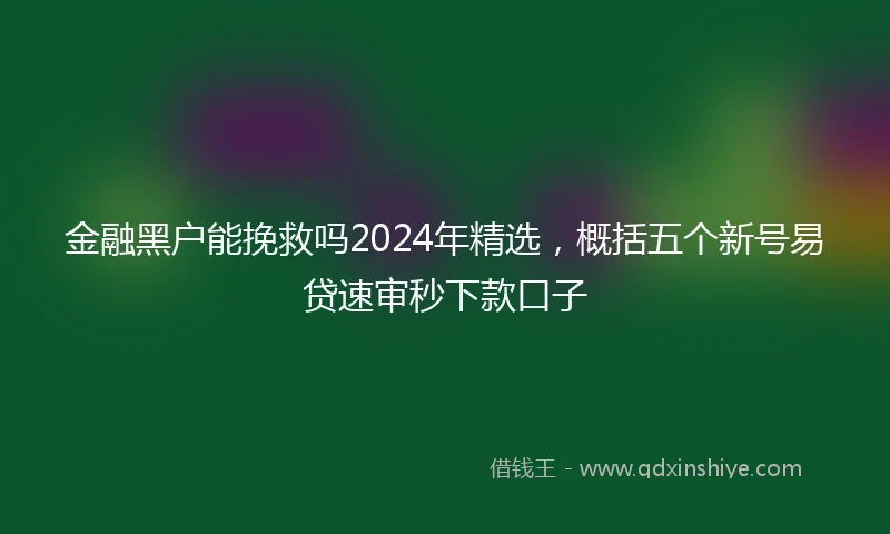 金融黑户能挽救吗2024年精选，概括五个新号易贷速审秒下款口子