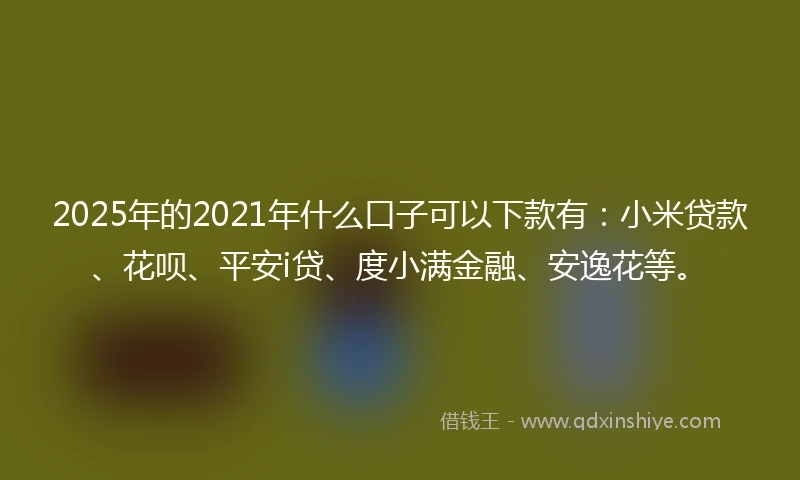 2025年的2021年什么口子可以下款有：小米贷款、花呗、平安i贷、度小满金融、安逸花等。