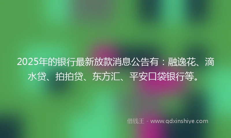 2025年的银行最新放款消息公告有：融逸花、滴水贷、拍拍贷、东方汇、平安口袋银行等。