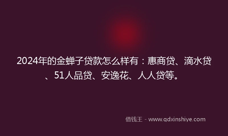 2024年的金蝉子贷款怎么样有：惠商贷、滴水贷、51人品贷、安逸花、人人贷等。