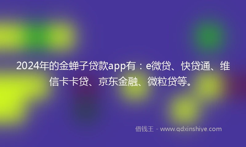 2024年的金蝉子贷款app有：e微贷、快贷通、维信卡卡贷、京东金融、微粒贷等。