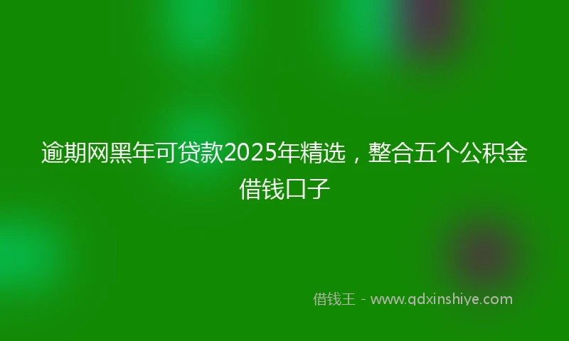 逾期网黑年可贷款2025年精选，整合五个公积金借钱口子