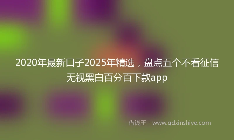 2020年最新口子2025年精选，盘点五个不看征信无视黑白百分百下款app