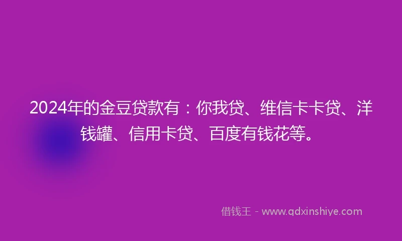2024年的金豆贷款有：你我贷、维信卡卡贷、洋钱罐、信用卡贷、百度有钱花等。