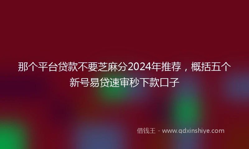 那个平台贷款不要芝麻分2024年推荐，概括五个新号易贷速审秒下款口子