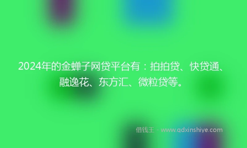 2024年的金蝉子网贷平台有：拍拍贷、快贷通、融逸花、东方汇、微粒贷等。