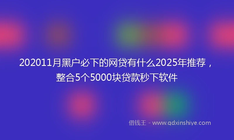 202011月黑户必下的网贷有什么2025年推荐，整合5个5000块贷款秒下软件