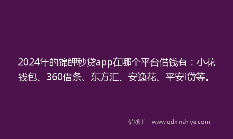 2024年的锦鲤秒贷app在哪个平台借钱有：小花钱包、360借条、东方汇、安逸花、平安i贷等。