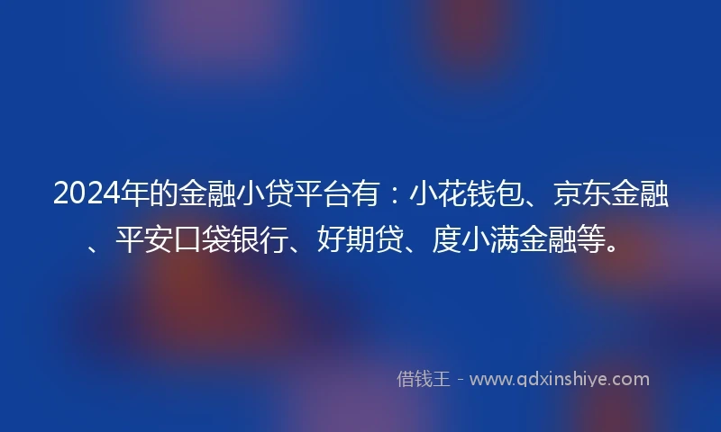 2024年的金融小贷平台有：小花钱包、京东金融、平安口袋银行、好期贷、度小满金融等。
