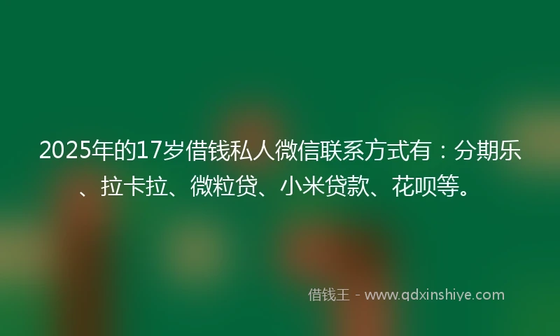 2025年的17岁借钱私人微信联系方式有：分期乐、拉卡拉、微粒贷、小米贷款、花呗等。