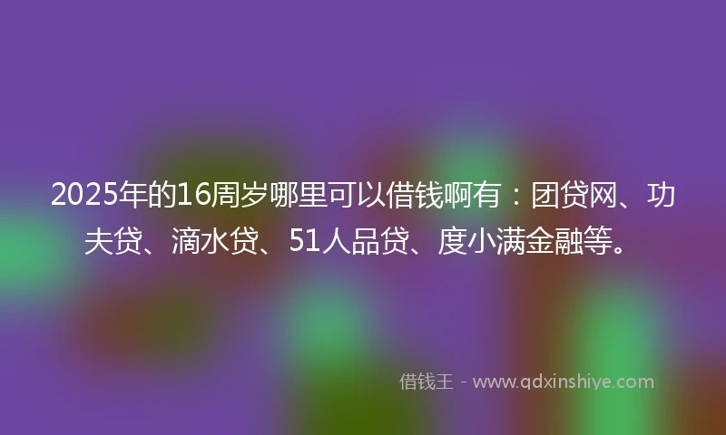 2025年的16周岁哪里可以借钱啊有：团贷网、功夫贷、滴水贷、51人品贷、度小满金融等。