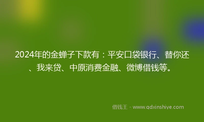 2024年的金蝉子下款有：平安口袋银行、替你还、我来贷、中原消费金融、微博借钱等。