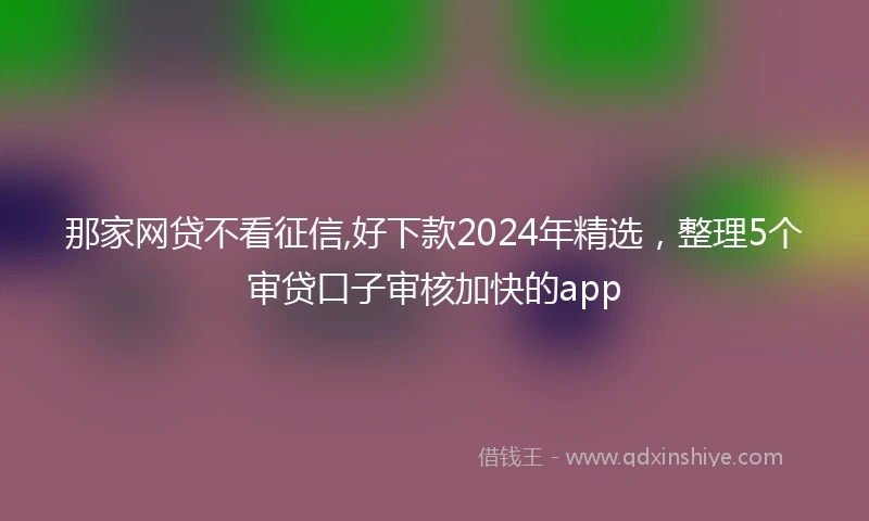 那家网贷不看征信,好下款2024年精选，整理5个审贷口子审核加快的app