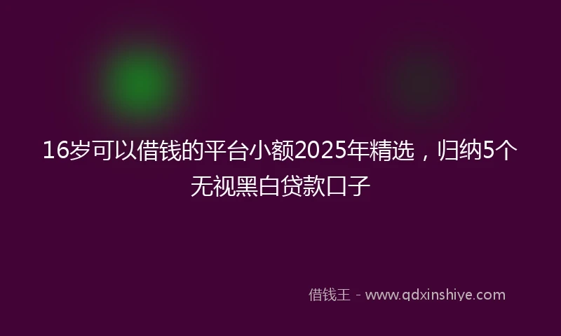 16岁可以借钱的平台小额2025年精选，归纳5个无视黑白贷款口子