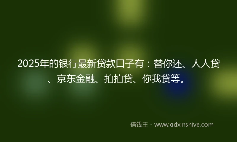 2025年的银行最新贷款口子有：替你还、人人贷、京东金融、拍拍贷、你我贷等。