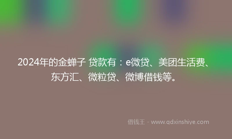 2024年的金蝉子 贷款有：e微贷、美团生活费、东方汇、微粒贷、微博借钱等。