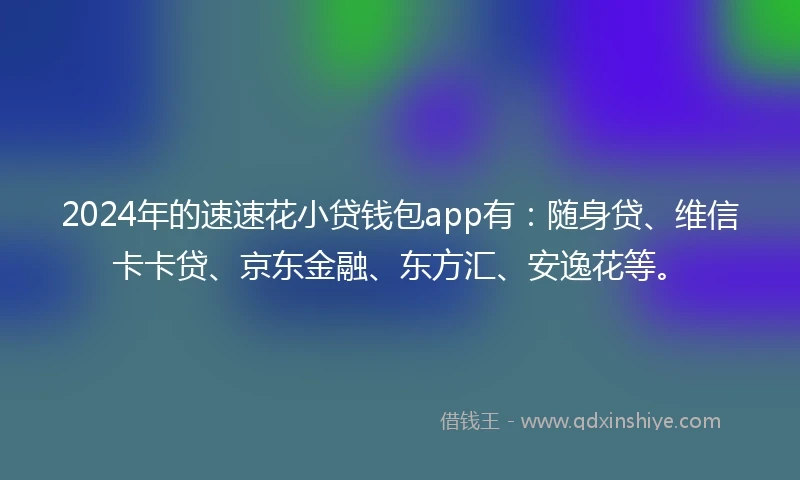 2024年的速速花小贷钱包app有：随身贷、维信卡卡贷、京东金融、东方汇、安逸花等。