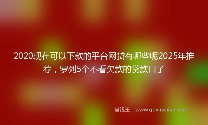 2020现在可以下款的平台网贷有哪些呢2025年推荐，罗列5个不看欠款的贷款口子